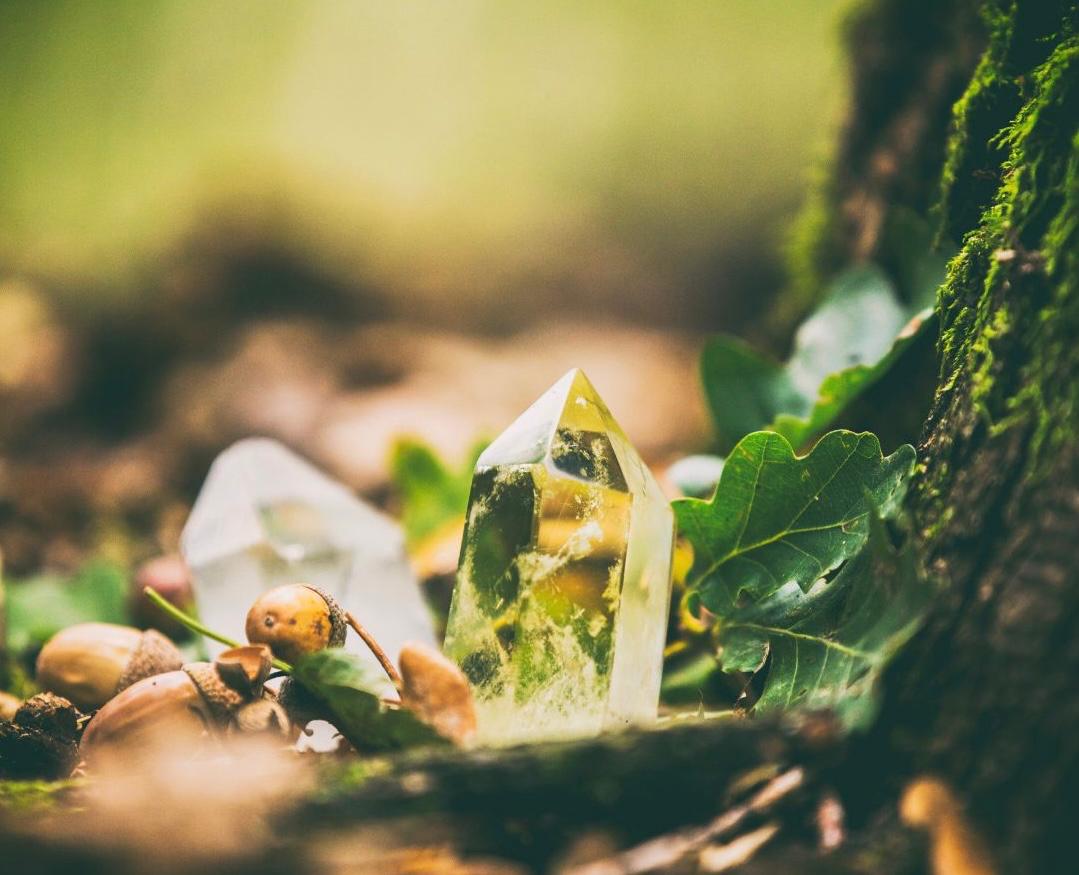 Cuarzos entre hojas y musgo, cristales usados en la terapia Tameana
